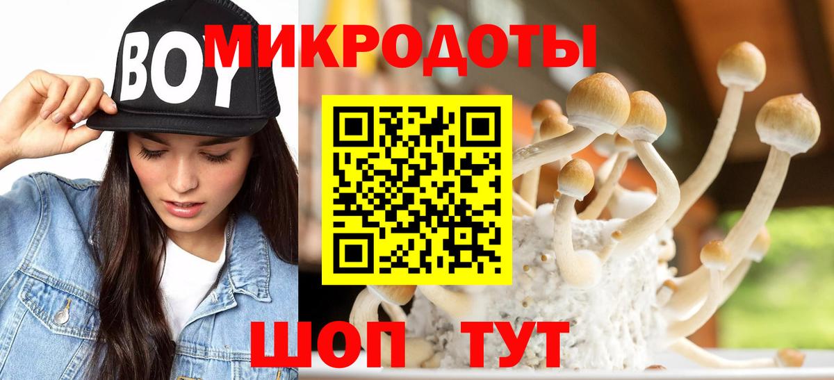 Кулебаки  Галлюциногенные грибы прущие грибы  Вход с VPN 